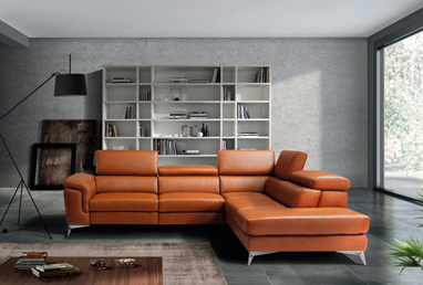 Sofa-Inspiratonal-Leather